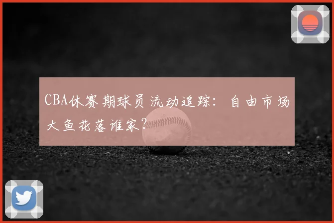 CBA休赛期球员流动追踪：自由市场大鱼花落谁家？